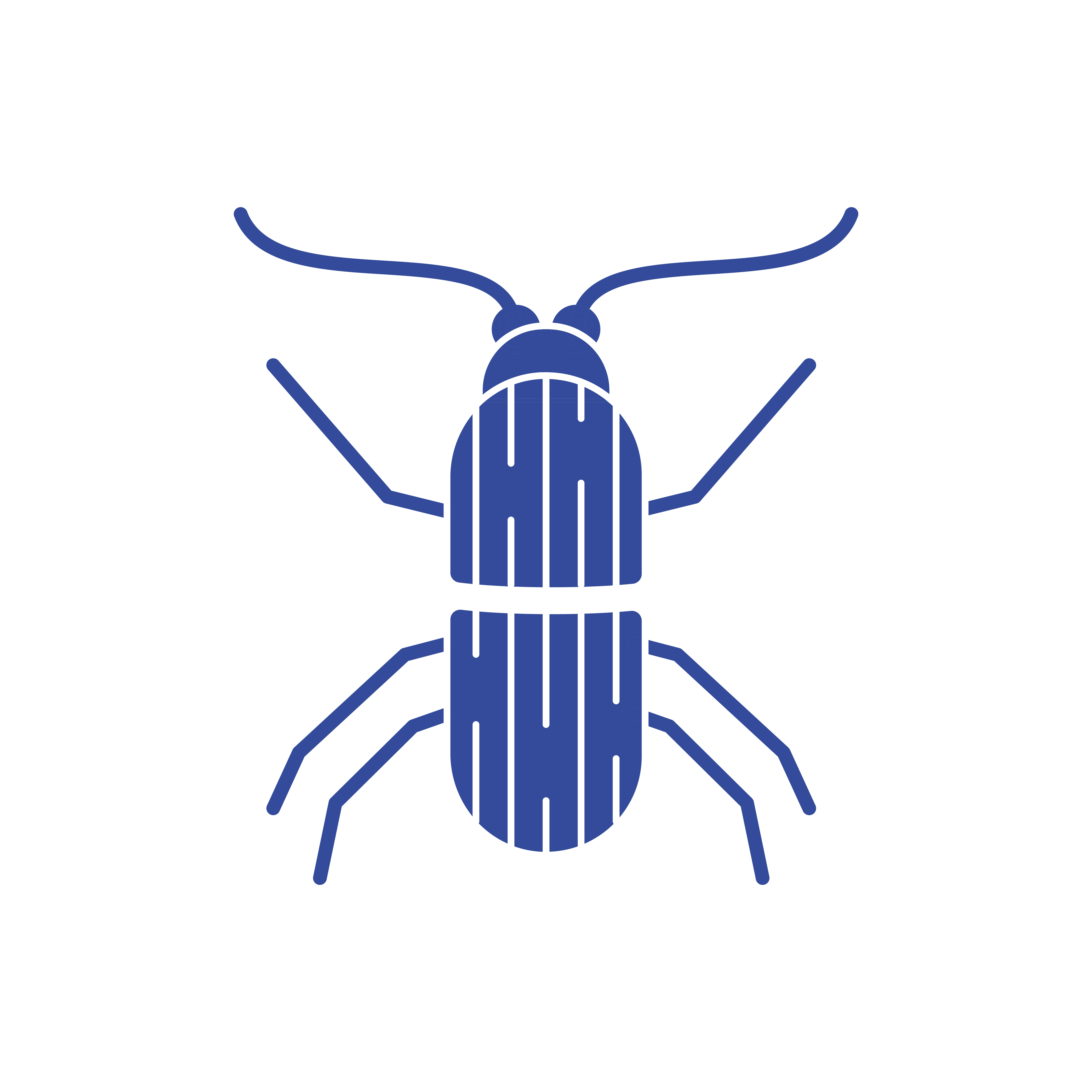 Pengendalian Rayap/termite